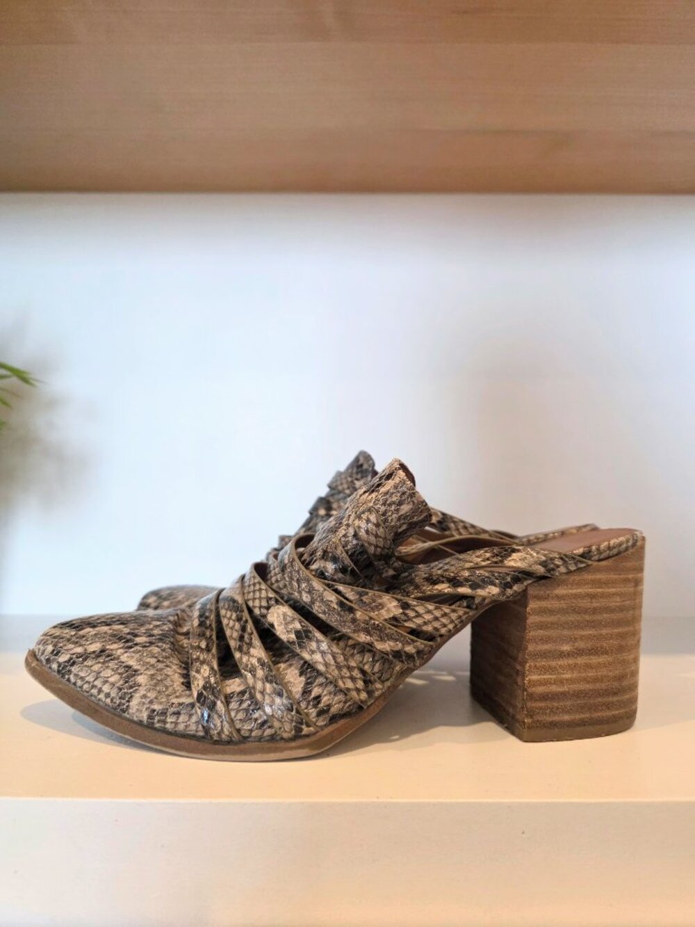 Dolce Vita Snakeskin Strappy Mules Pointed Toe Snake Print Slides Size 9